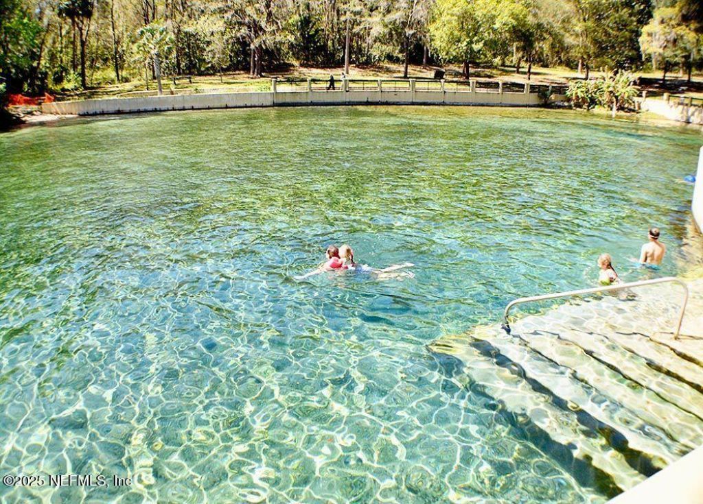 24480 NE 127 Street Street, Salt Springs, FL 32134 Photo