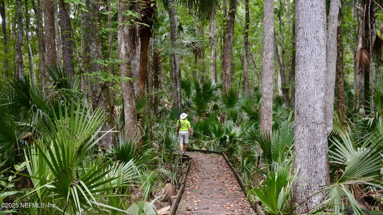 24480 NE 127 Street Street, Salt Springs, FL 32134 Photo