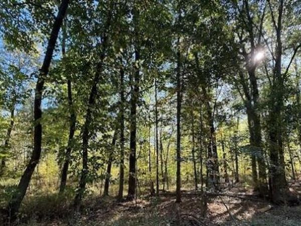 VL Doster Road, Lot#WP001, Plainwell, MI 49080