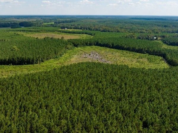 0 Hudson Ferry Rd. & Newington Highway, Newington, GA 30446