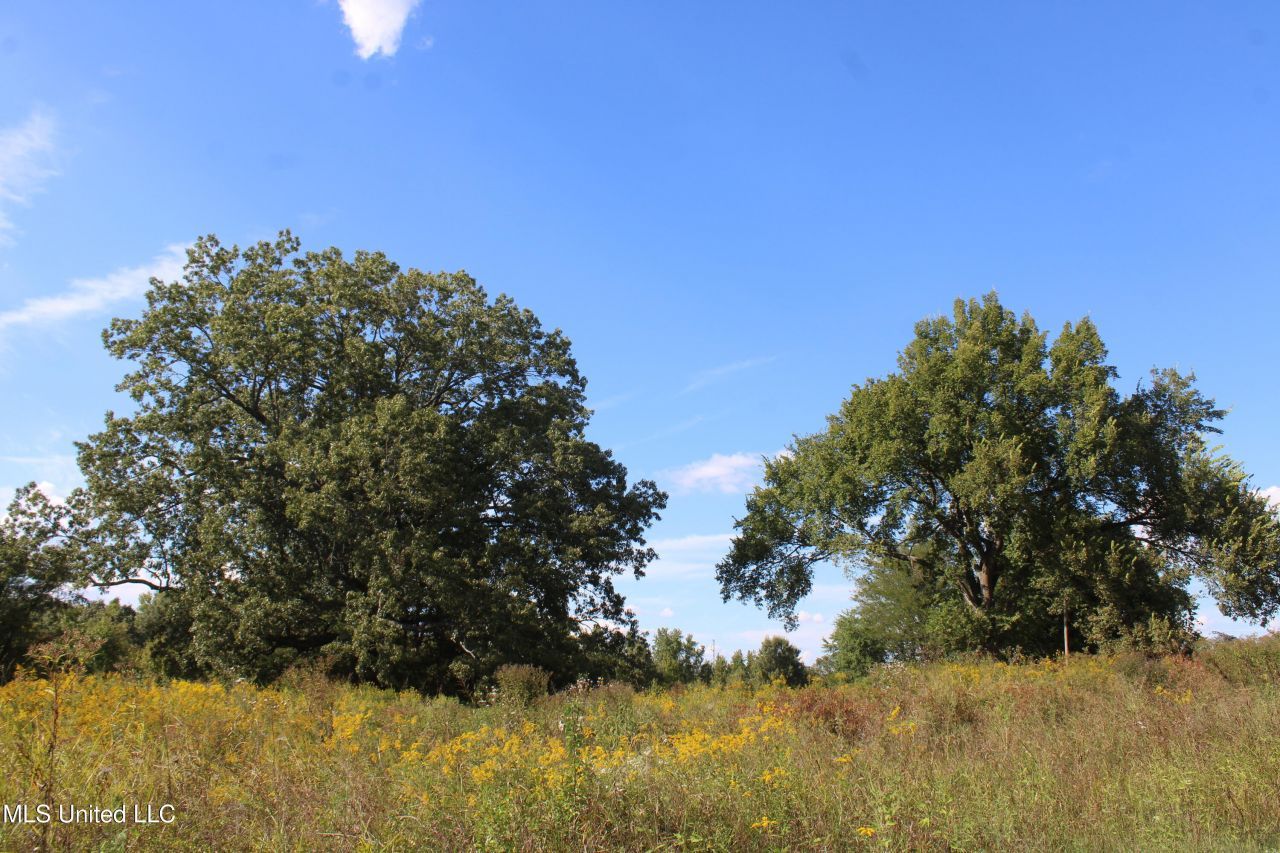 5300 Desoto Road, Walls, MS 38680 Main Photo