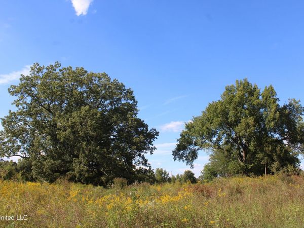 5300 Desoto Road, Walls, MS 38680