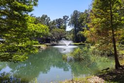 5568 Jenks Montgomery Road photo 4