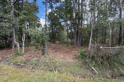 Tbd Martin Ln. photo 4