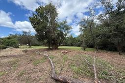 Tbd Martin Ln. photo 4