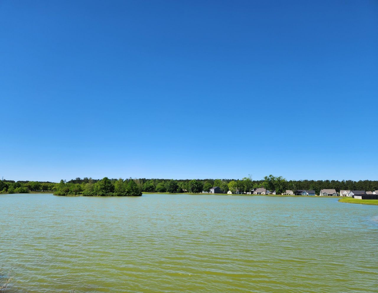 1240 Augusta Pass Drive Photo 5