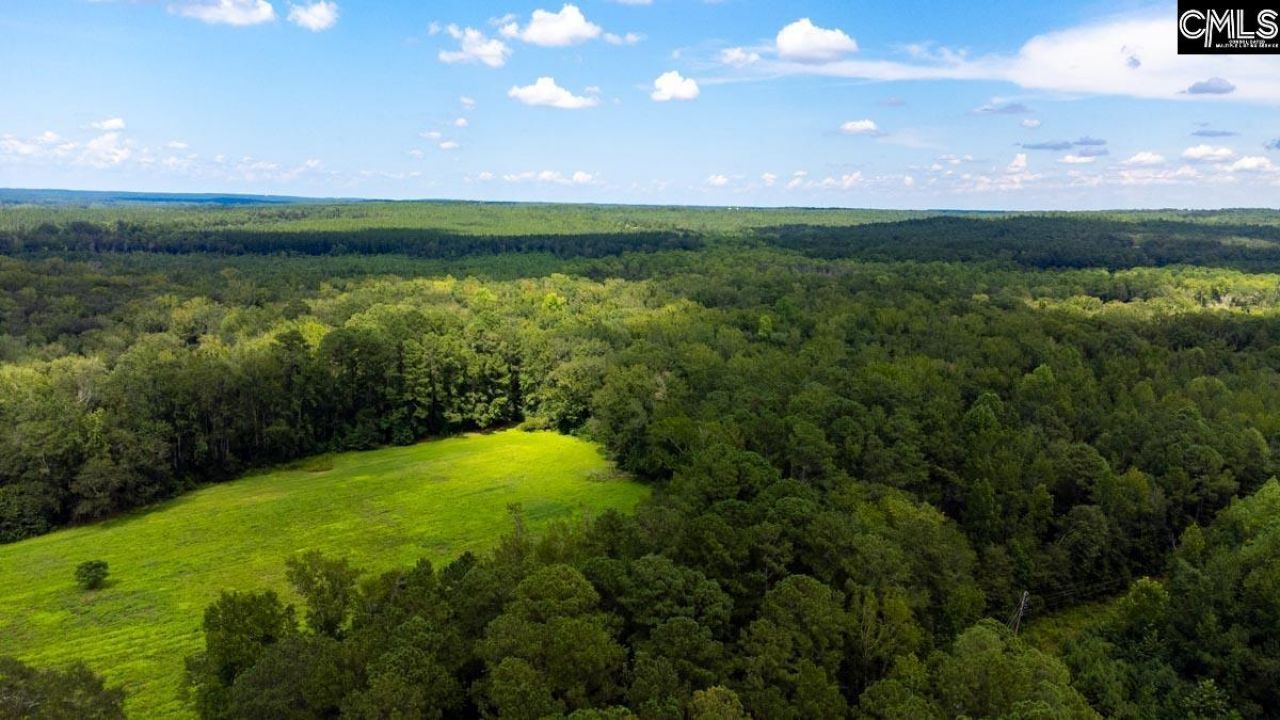 220 Destiny Lane Photo 37