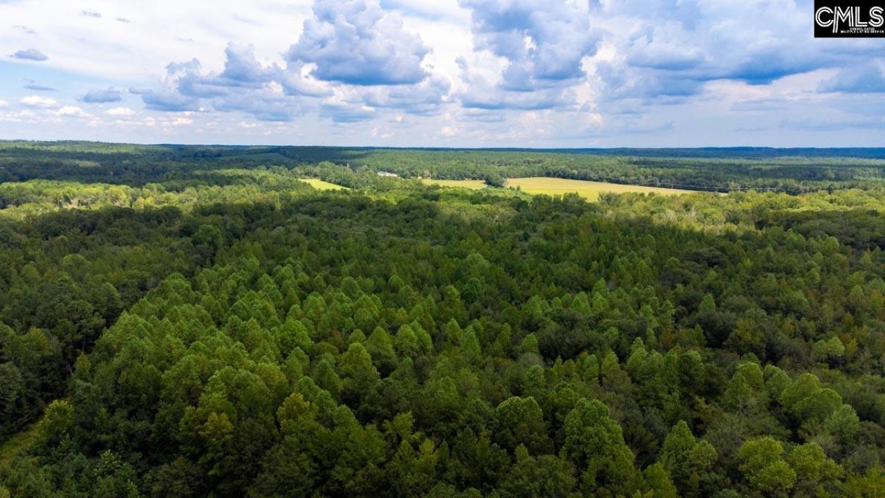 220 Destiny Lane Photo 38