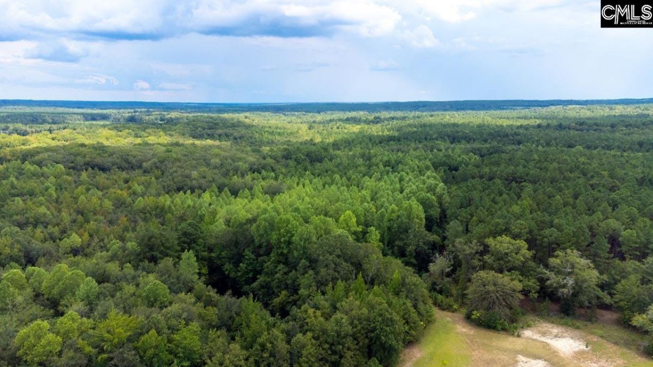 220 Destiny Lane Photo 39