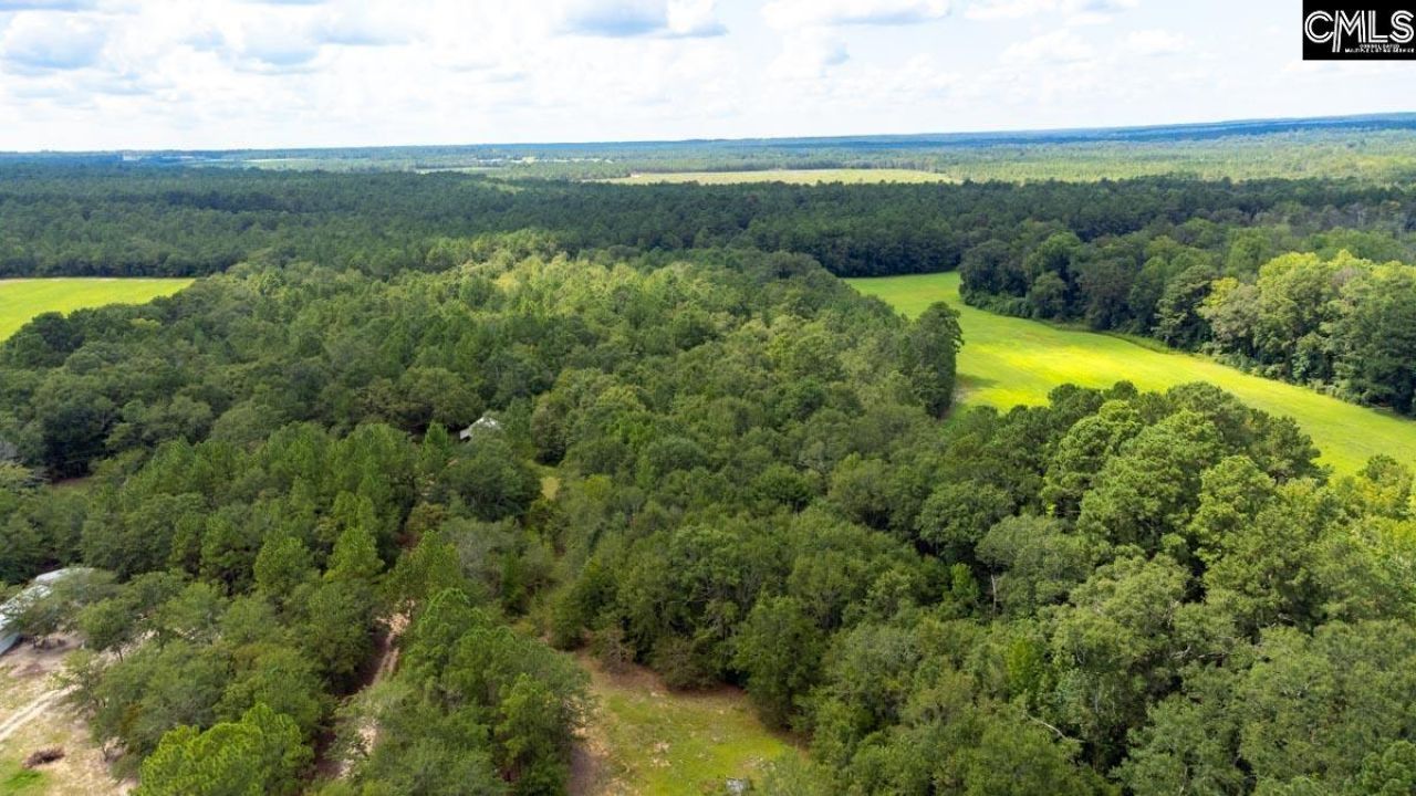 220 Destiny Lane Photo 42