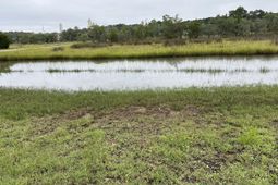 3817 James Bay Road photo 4