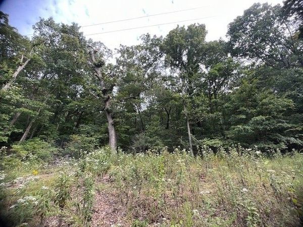 47 Cove Lane, Holiday Island, AR 72631