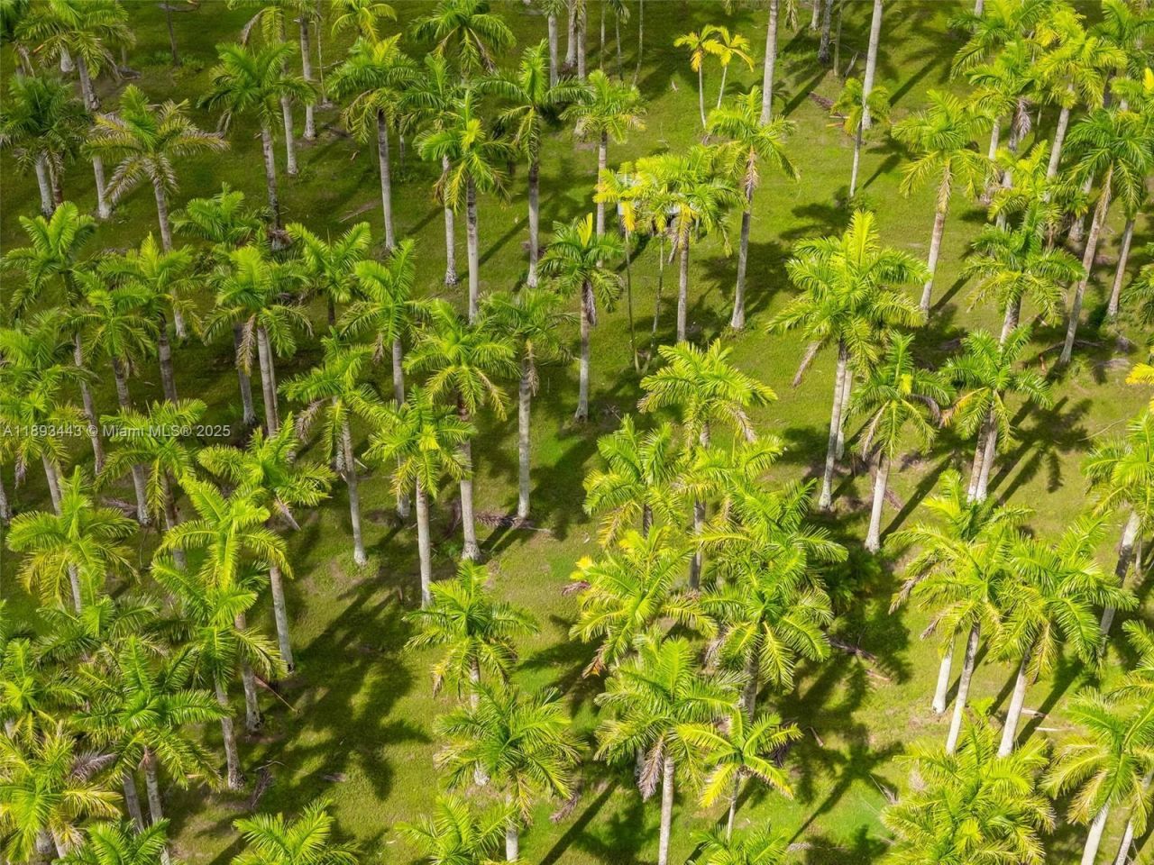 15100 SW 200th St, Miami, FL 33187 Photo