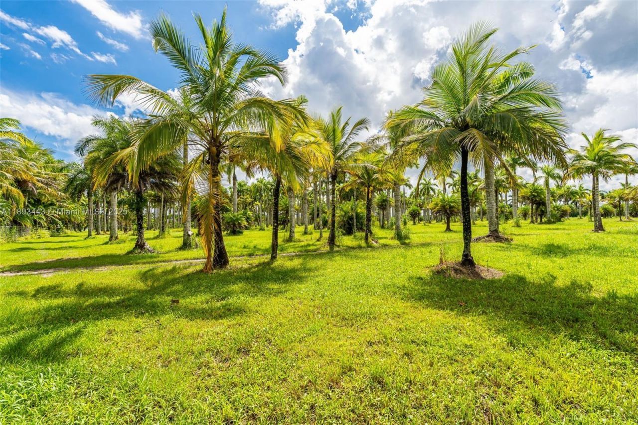 15100 SW 200th St, Miami, FL 33187 Photo