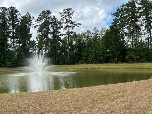 618 Hilchot Drive Photo 28