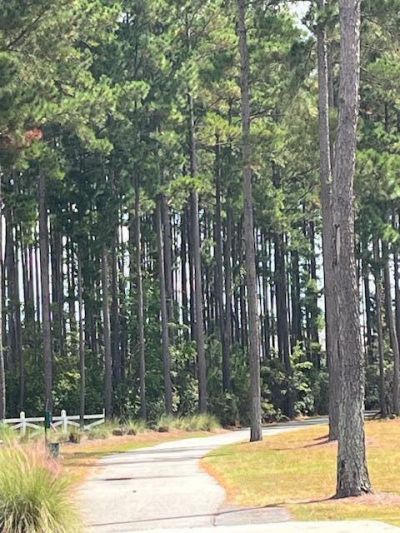 618 Hilchot Drive Photo 33