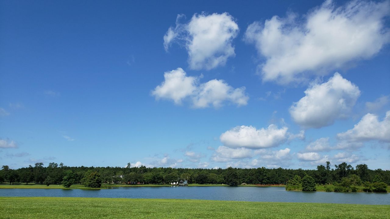 136 Darby Meadow Lane Photo 4