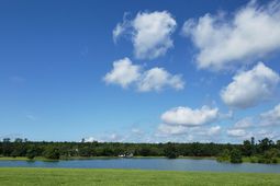 136 Darby Meadow Lane photo 4