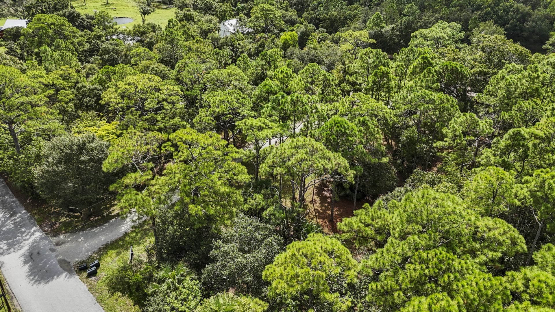 5028 SW Moore Street, Palm City, FL 34990 Photo