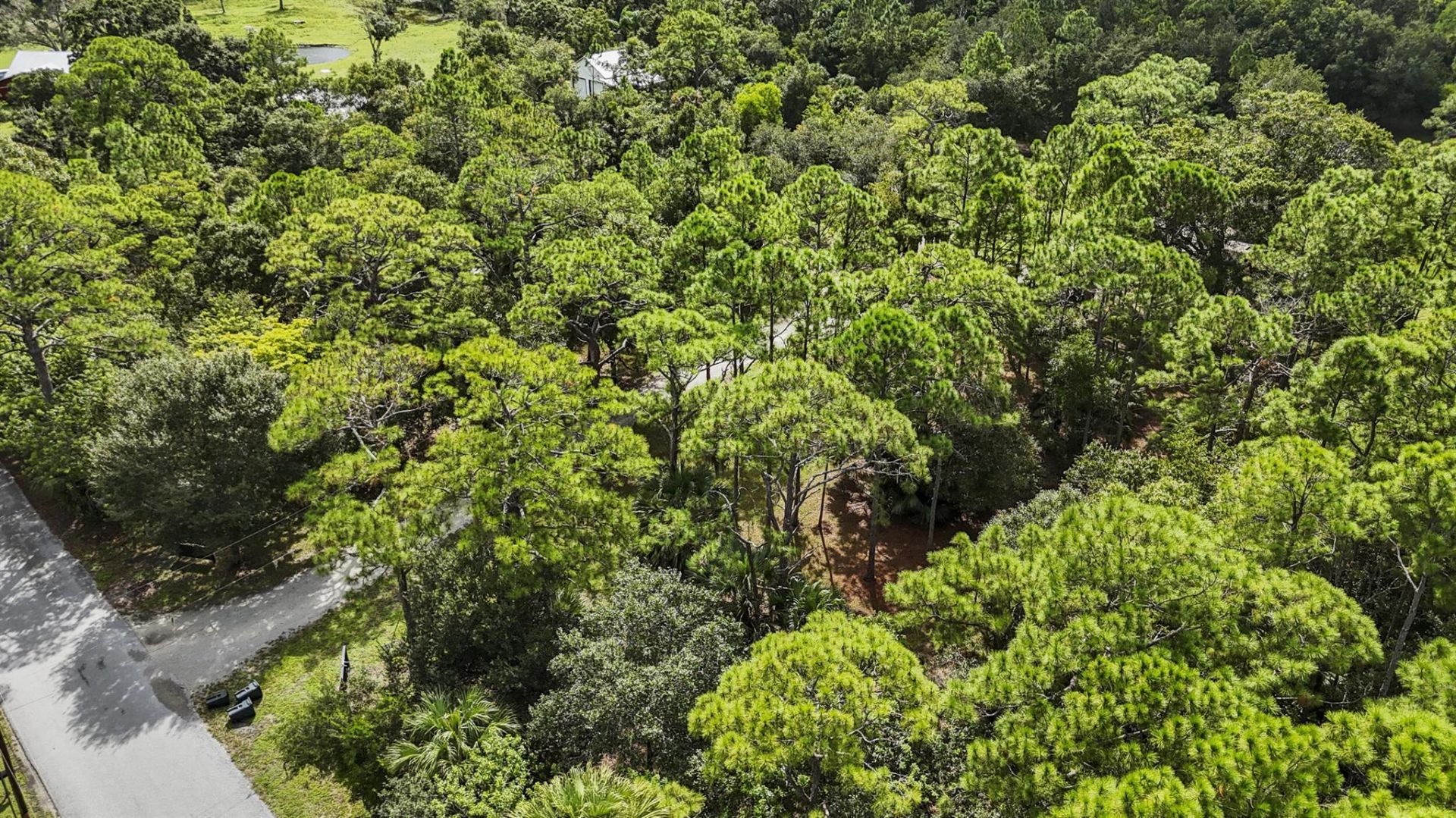 5028 SW Moore Street, Palm City, FL 34990 Photo