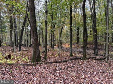 E LOCUST ST, MOUNT HOLLY SPRINGS, PA 17065