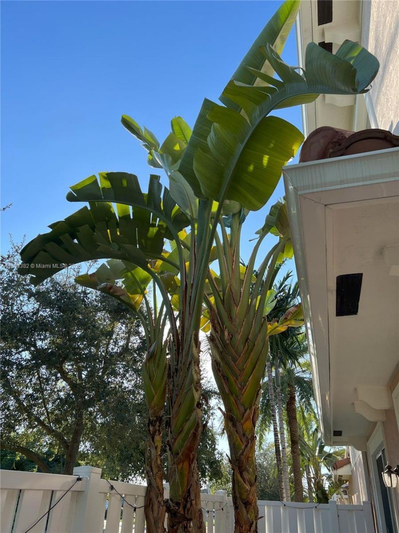 2361 SE 5th St, Pompano Beach, FL 33062 Photo