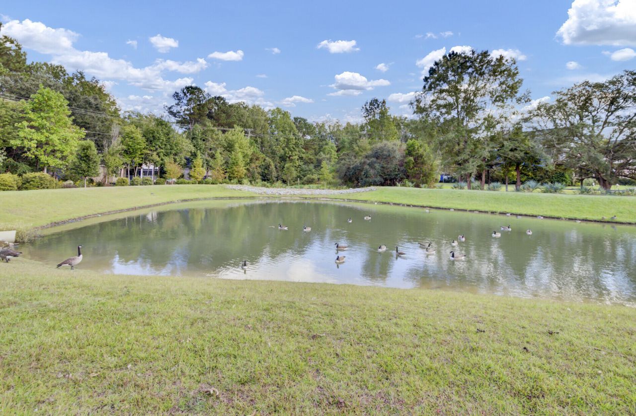 109 Pine Gate Drive Photo 49