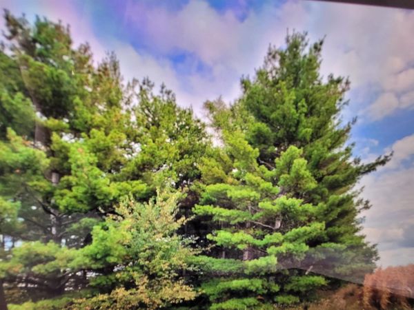 E Schrock Road, Waterloo, IA 50701