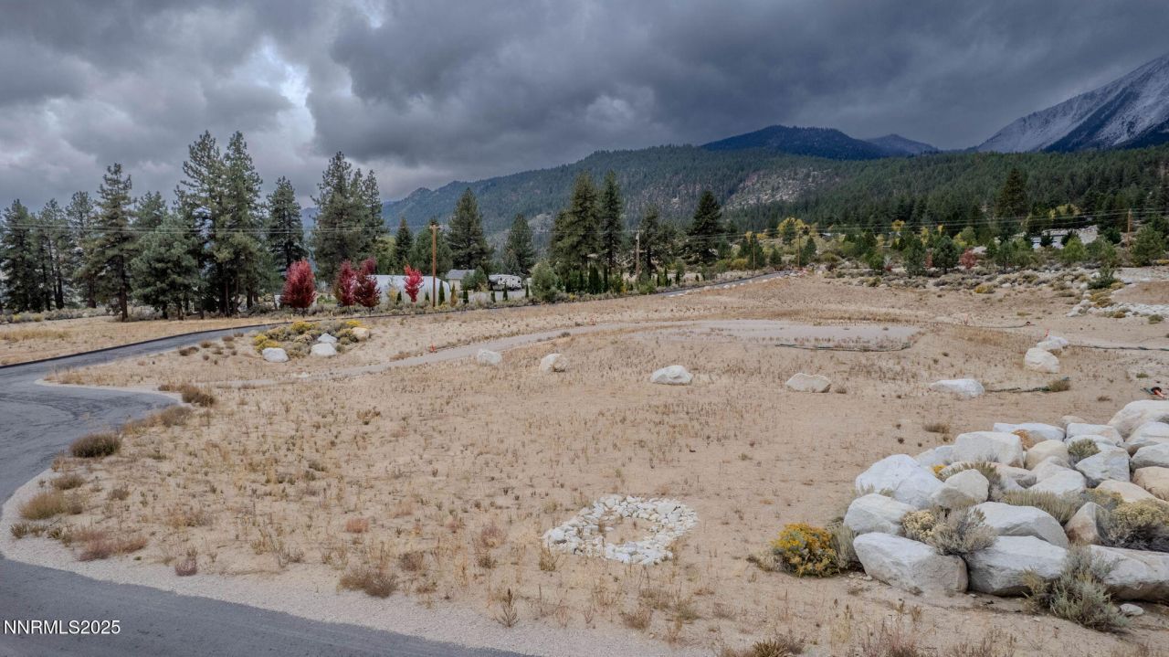 632 Us Hwy 395 North, Lot #16, Washoe Valley, NV 89704 Photo