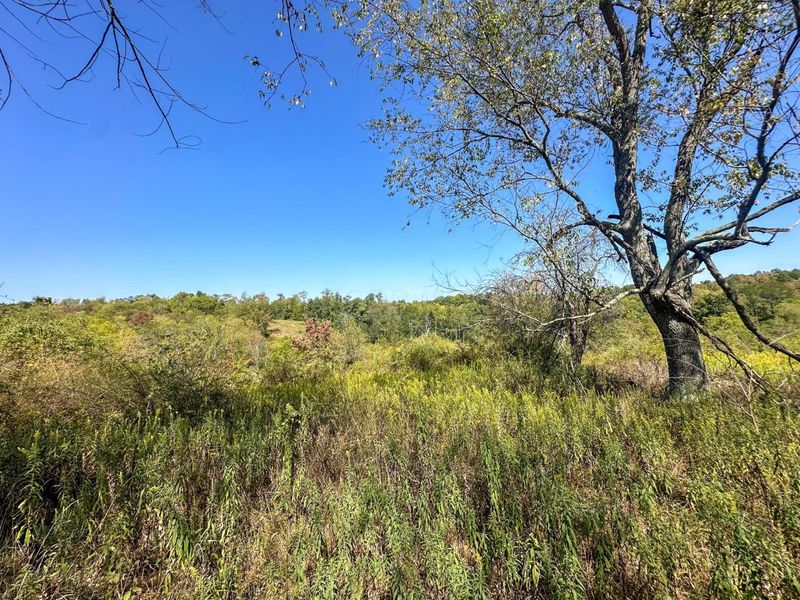 0 Black Road , Hopewell, OH 43746 Photo 10