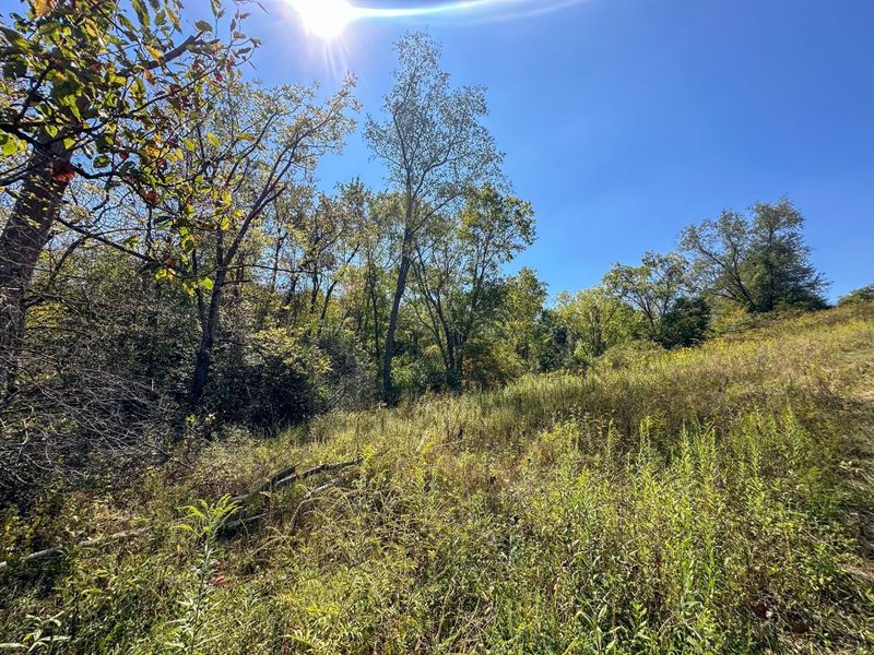 0 Black Road , Hopewell, OH 43746 Photo 11