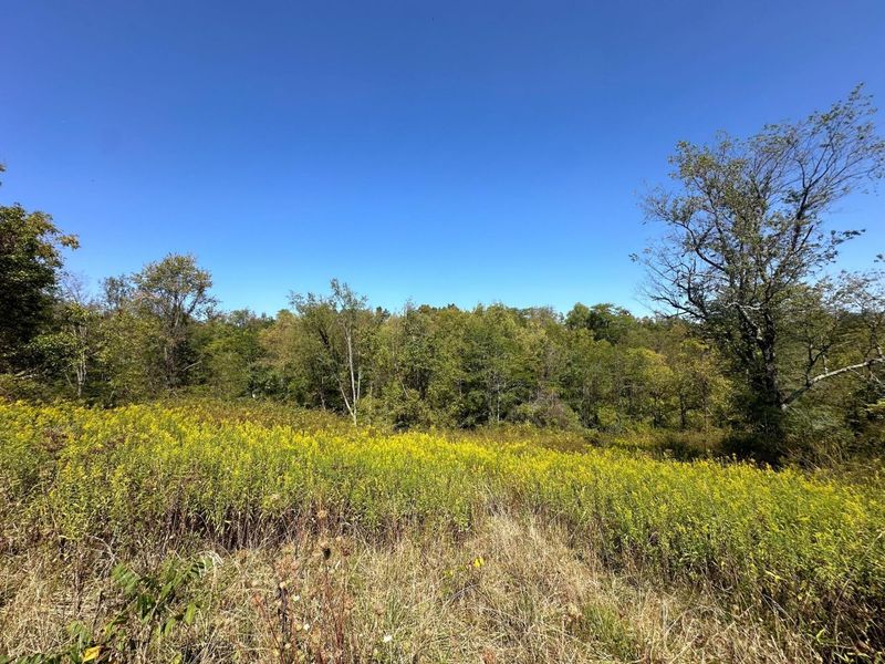 0 Black Road , Hopewell, OH 43746 Photo 12