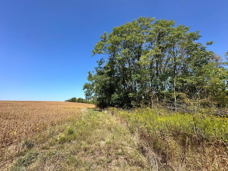 0 Black Road , Hopewell, OH 43746 Photo 14