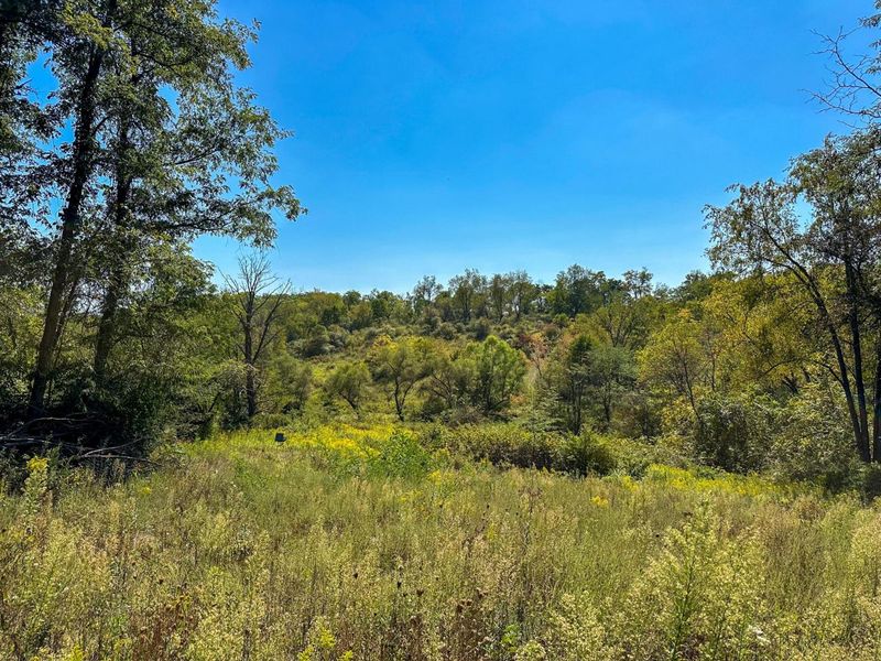 0 Black Road , Hopewell, OH 43746 Photo 18