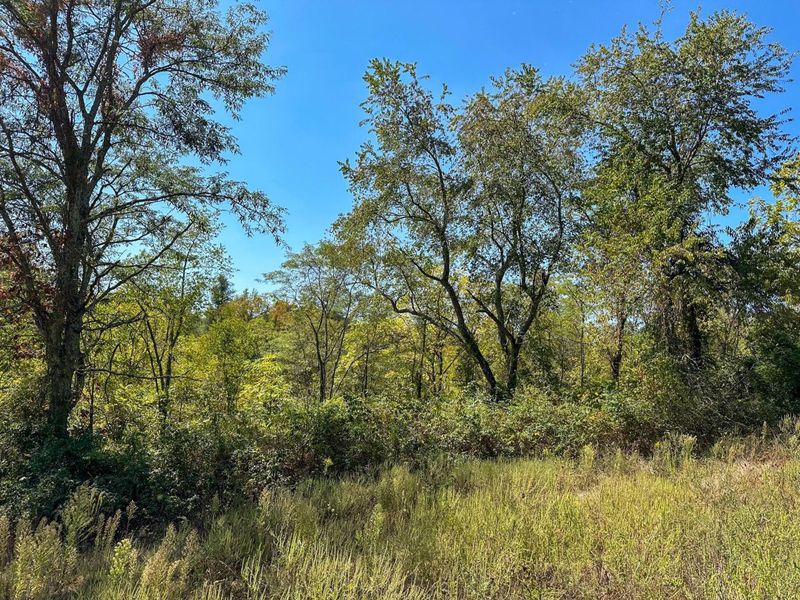 0 Black Road , Hopewell, OH 43746 Photo 19