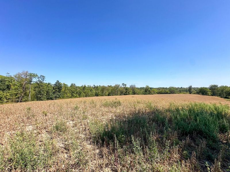 0 Black Road , Hopewell, OH 43746 Photo 2