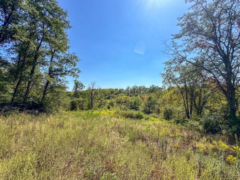 0 Black Road , Hopewell, OH 43746 Photo 20