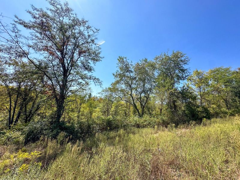 0 Black Road , Hopewell, OH 43746 Photo 21