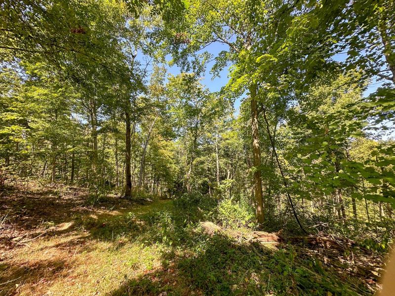 0 Black Road , Hopewell, OH 43746 Photo 22