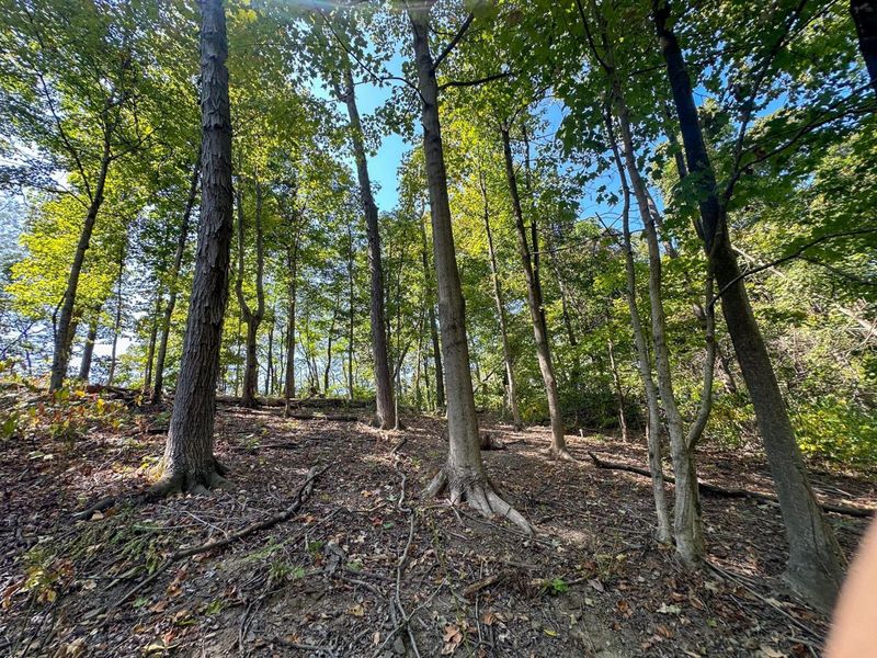 0 Black Road , Hopewell, OH 43746 Photo 23