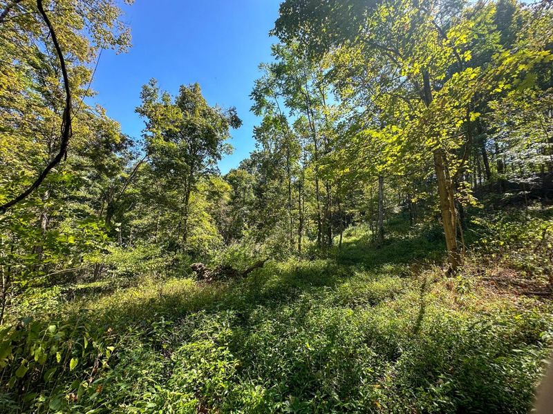 0 Black Road , Hopewell, OH 43746 Photo 24