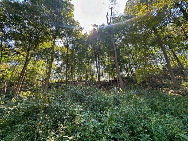 0 Black Road , Hopewell, OH 43746 Photo 25