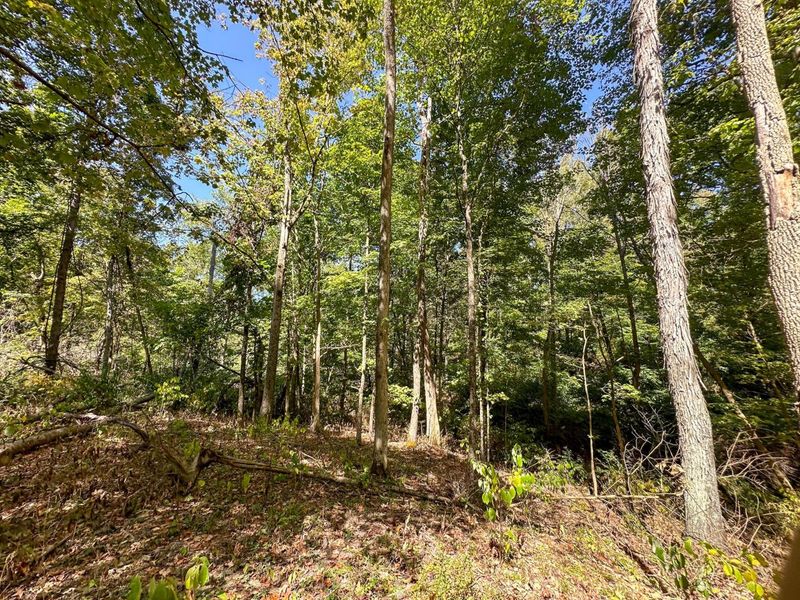 0 Black Road , Hopewell, OH 43746 Photo 26