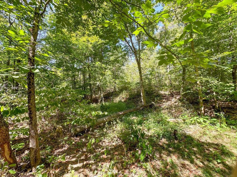 0 Black Road , Hopewell, OH 43746 Photo 27