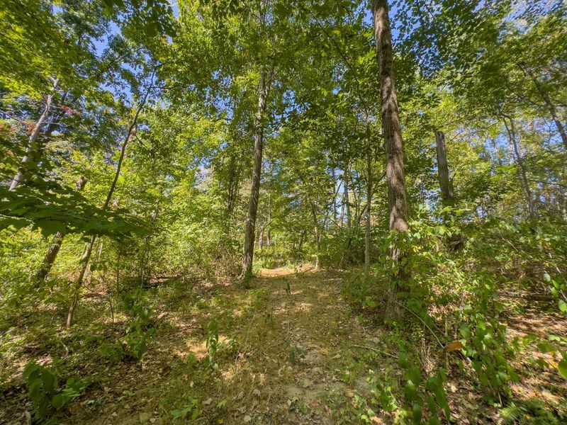 0 Black Road , Hopewell, OH 43746 Photo 28