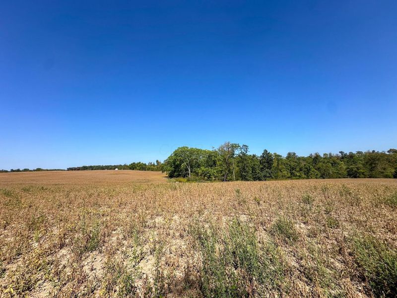 0 Black Road , Hopewell, OH 43746 Photo 3