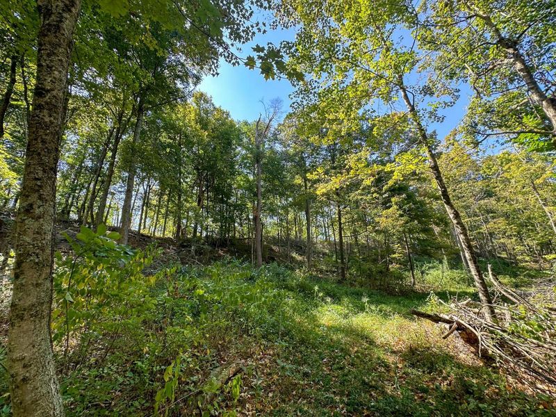 0 Black Road , Hopewell, OH 43746 Photo 30