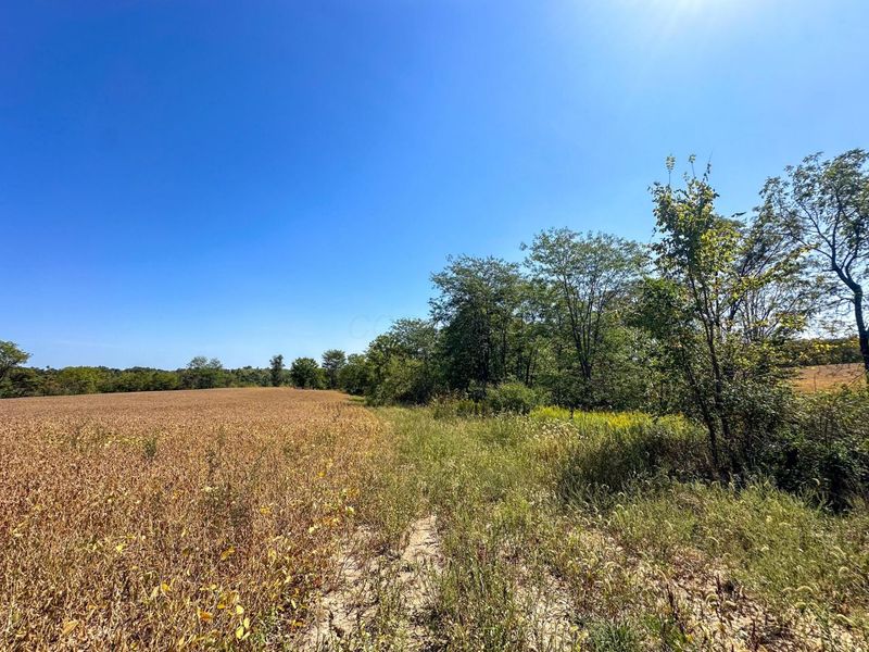 0 Black Road , Hopewell, OH 43746 Photo 4