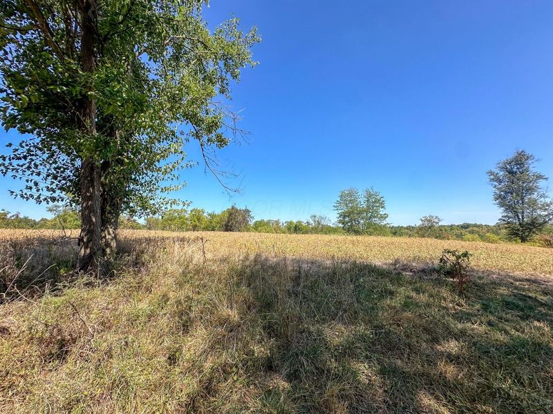 0 Black Road , Hopewell, OH 43746 Photo 5