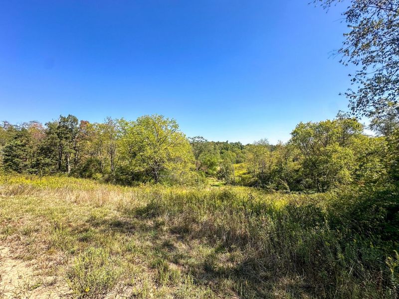 0 Black Road , Hopewell, OH 43746 Photo 6